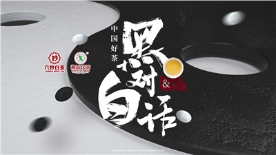 首屆黑白對(duì)話高峰論壇圓滿落幕！湘益茯茶備受關(guān)注！