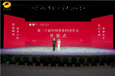 【聚焦第二十屆中國茶業(yè)經(jīng)濟(jì)年會(huì)】益陽茶廠榮獲“民族團(tuán)結(jié)互助企業(yè)”、“2024年度茶業(yè)重點(diǎn)企業(yè)”榮譽(yù)稱號(hào)