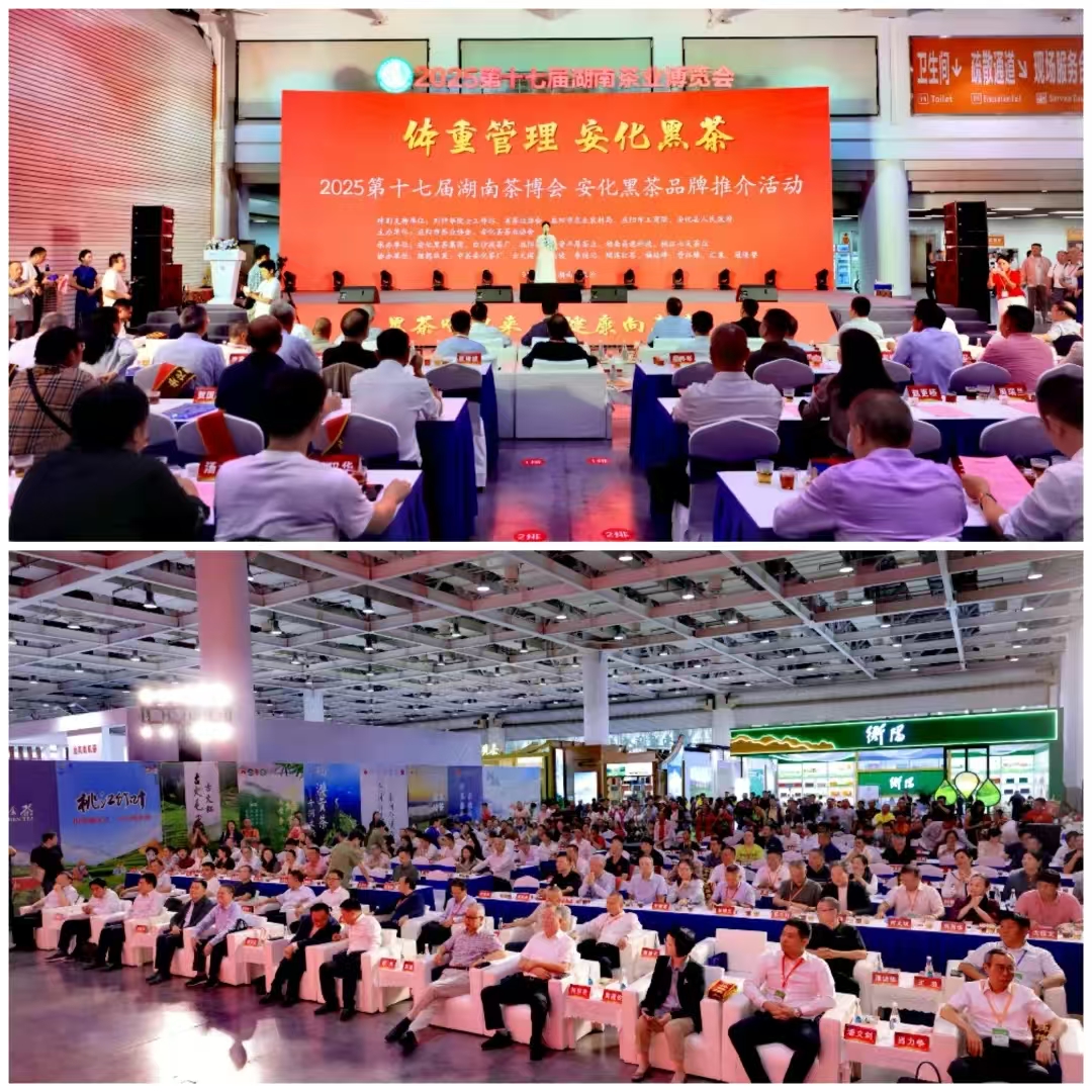 破局邊銷二十載，開啟茯茶新紀元——湘益茯茶“紀廿”新品璀璨發(fā)布